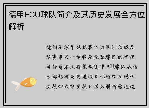 德甲FCU球队简介及其历史发展全方位解析